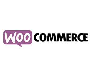 woocommerce store seo expert clickcolon solutions
